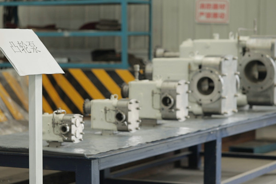 Duplex SS Rotary Lobe Vacuum Pump For Automotive Paint Ink